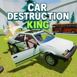Thumbnail for Car Destruction King